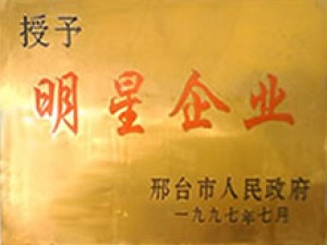 榮譽資質(zhì)
